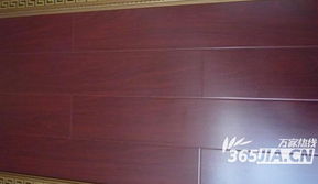 建材直通車再度發(fā)力，華東建材城精品特價(jià)大放送引領(lǐng)消費(fèi)新熱潮